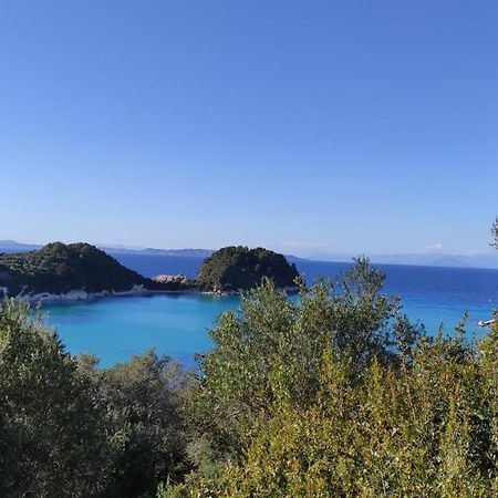 Margarita Apartments Paxos - Studio Kam Lákka Exterior foto